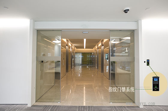 钢化玻璃樱桃视频APP在线观看污-腾讯案例图片
